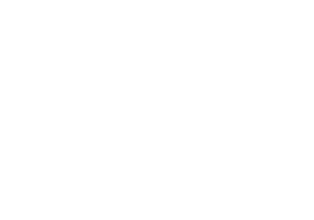 logo perfor senza sfondo bianco